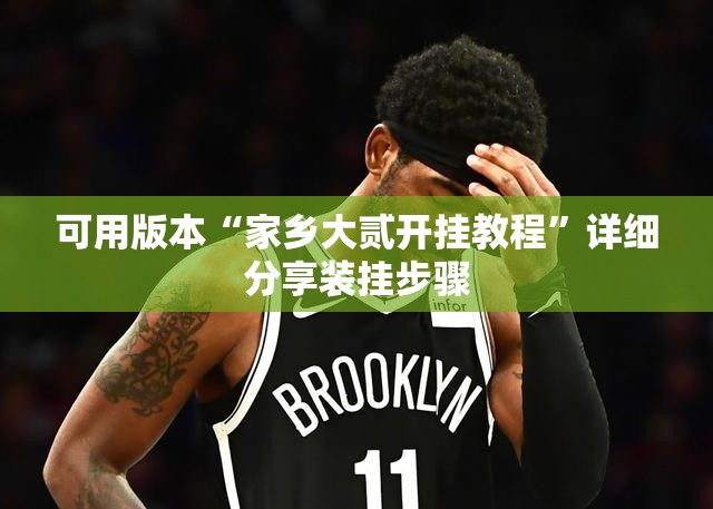 可用版本“家乡大贰开挂教程	”详细分享装挂步骤