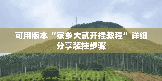 可用版本“家乡大贰开挂教程”详细分享装挂步骤