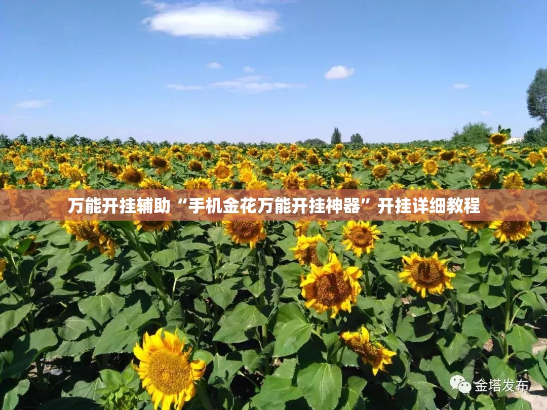 万能开挂辅助“手机金花万能开挂神器”开挂详细教程