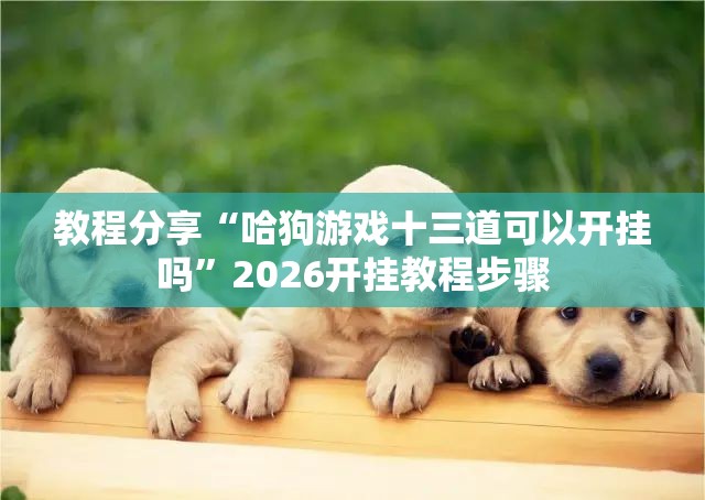 教程分享“哈狗游戏十三道可以开挂吗”2026开挂教程步骤