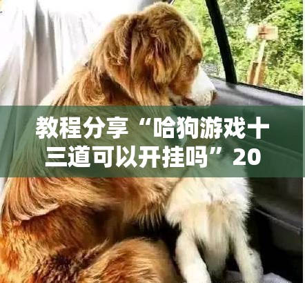 教程分享“哈狗游戏十三道可以开挂吗”2026开挂教程步骤