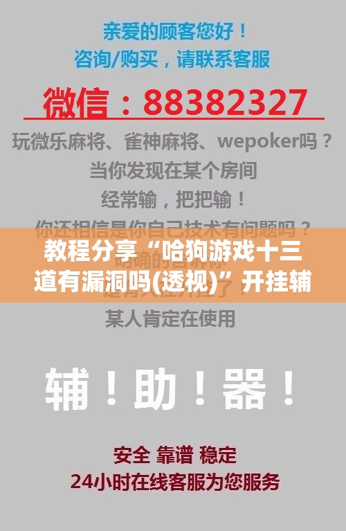 教程分享“哈狗游戏十三道有漏洞吗(透视)”开挂辅助脚本+详细开挂安装教程