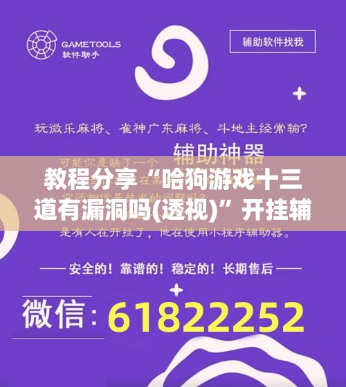 教程分享“哈狗游戏十三道有漏洞吗(透视)”开挂辅助脚本+详细开挂安装教程