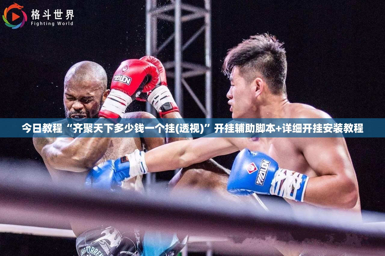 今日教程“齐聚天下多少钱一个挂(透视)”开挂辅助脚本+详细开挂安装教程