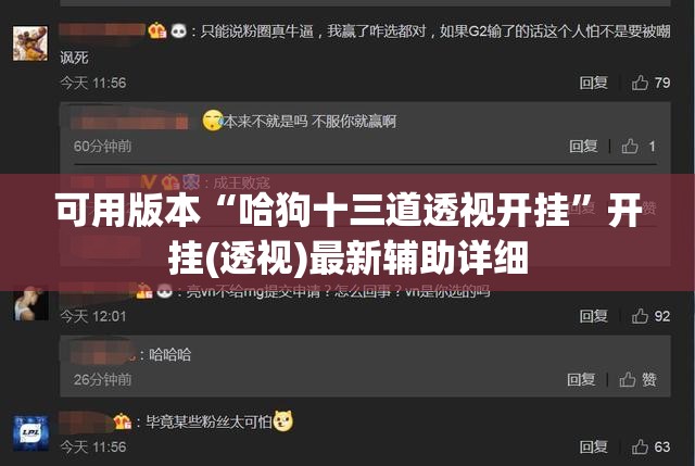 可用版本“哈狗十三道透视开挂”开挂(透视)最新辅助详细