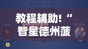 教程辅助!“智星德州菠萝插件教程”详细开挂教程