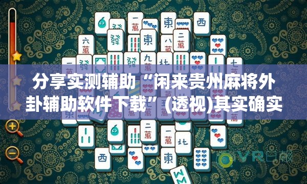 分享实测辅助“闲来贵州麻将外卦辅助软件下载	”(透视)其实确实有挂