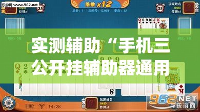 实测辅助“手机三公开挂辅助器通用版	”开挂(透视)辅助教程