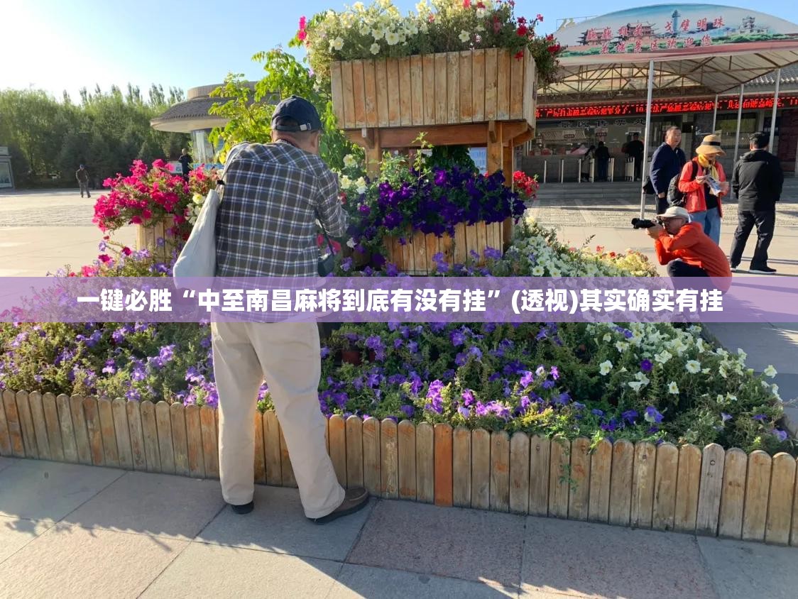 一键必胜“中至南昌麻将到底有没有挂”(透视)其实确实有挂
