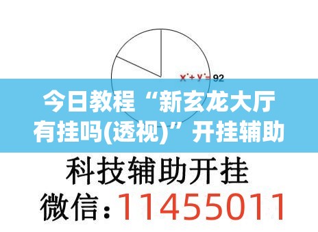 今日教程“新玄龙大厅有挂吗(透视)”开挂辅助脚本+详细开挂安装教程
