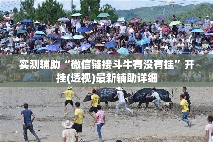 实测辅助“微信链接斗牛有没有挂”开挂(透视)最新辅助详细