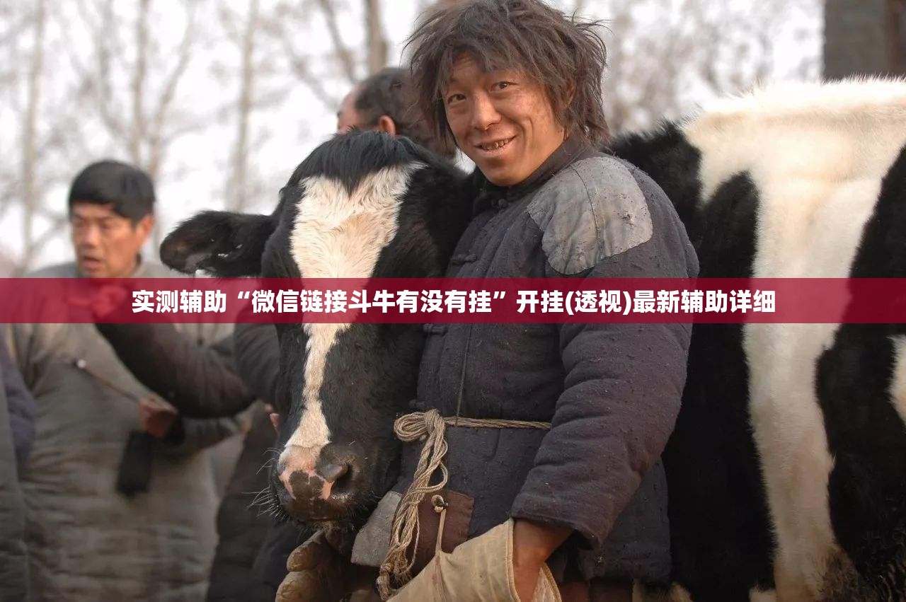 实测辅助“微信链接斗牛有没有挂”开挂(透视)最新辅助详细
