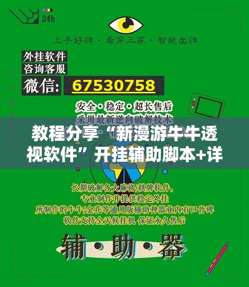 教程分享“新漫游牛牛透视软件”开挂辅助脚本+详细开挂安装教程