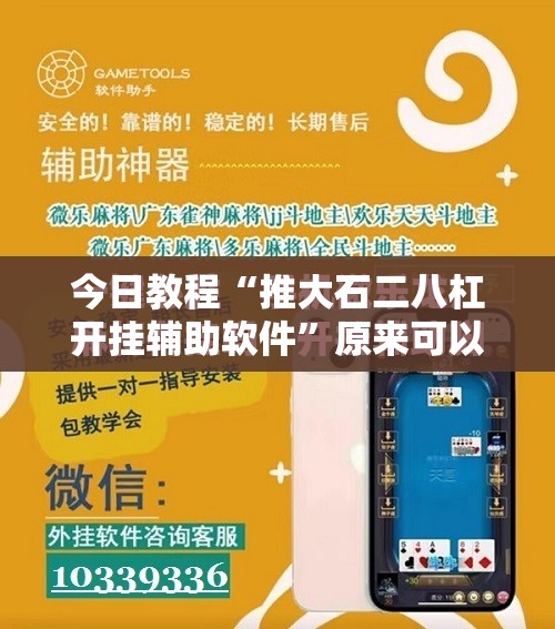 今日教程“推大石二八杠开挂辅助软件”原来可以开挂