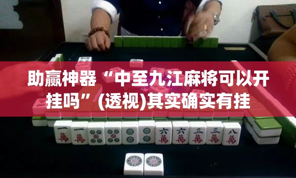 助赢神器“中至九江麻将可以开挂吗”(透视)其实确实有挂