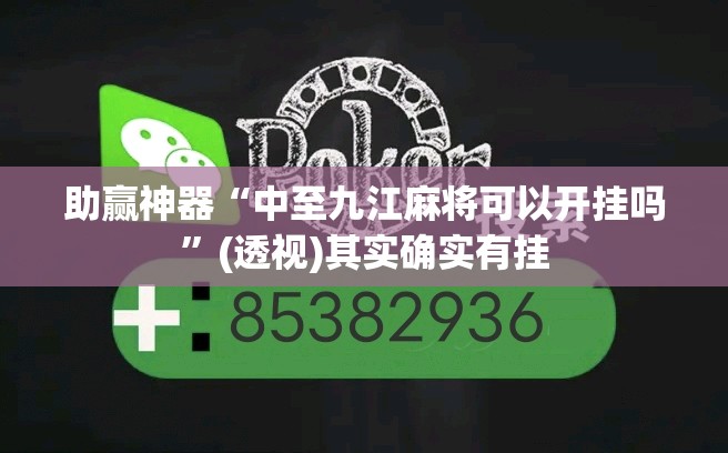 助赢神器“中至九江麻将可以开挂吗”(透视)其实确实有挂