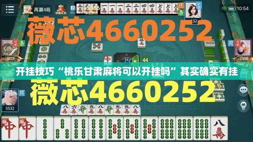 开挂技巧“桃乐甘肃麻将可以开挂吗”其实确实有挂