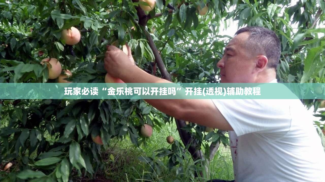 玩家必读“金乐桃可以开挂吗”开挂(透视)辅助教程