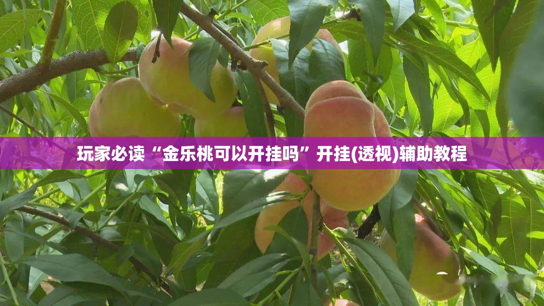 玩家必读“金乐桃可以开挂吗	”开挂(透视)辅助教程