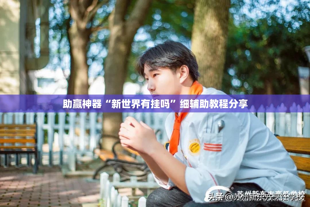 助赢神器“新世界有挂吗”细辅助教程分享