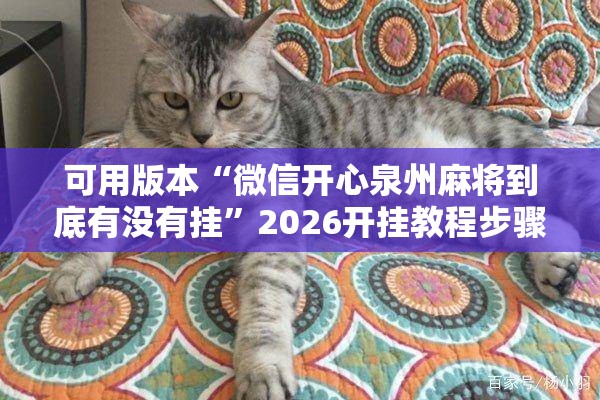 可用版本“微信开心泉州麻将到底有没有挂	”2026开挂教程步骤