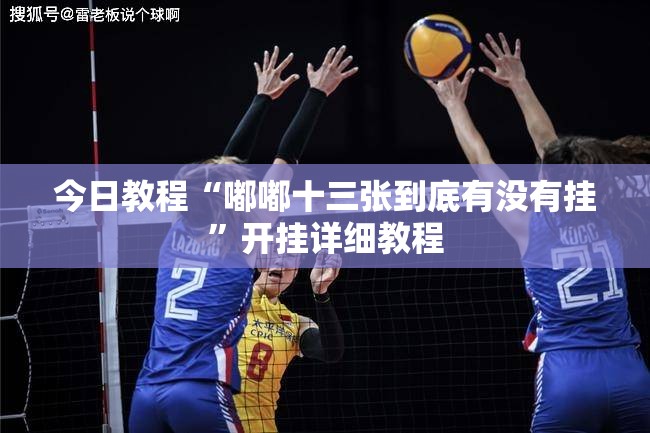 今日教程“嘟嘟十三张到底有没有挂”开挂详细教程