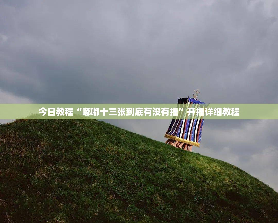 今日教程“嘟嘟十三张到底有没有挂”开挂详细教程