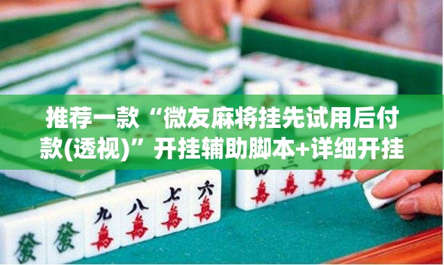 推荐一款“微友麻将挂先试用后付款(透视)”开挂辅助脚本+详细开挂安装教程