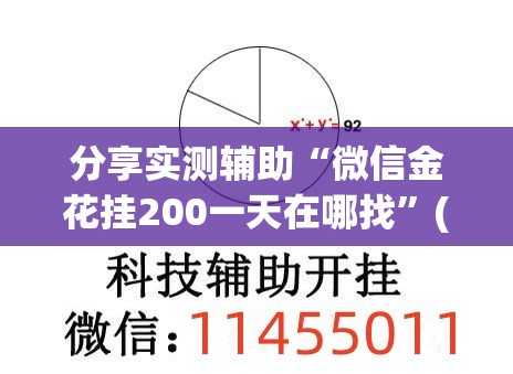 分享实测辅助“微信金花挂200一天在哪找”(透视挂)辅助下载教程