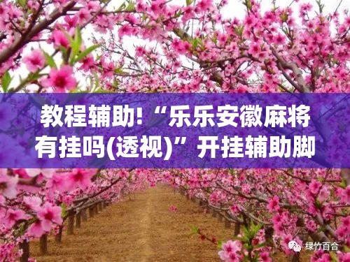 教程辅助!“乐乐安徽麻将有挂吗(透视)	”开挂辅助脚本+详细开挂安装教程