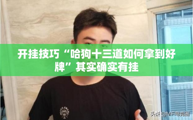 开挂技巧“哈狗十三道如何拿到好牌”其实确实有挂