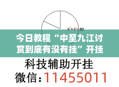 今日教程“中至九江讨赏到底有没有挂”开挂(透视)辅助教程