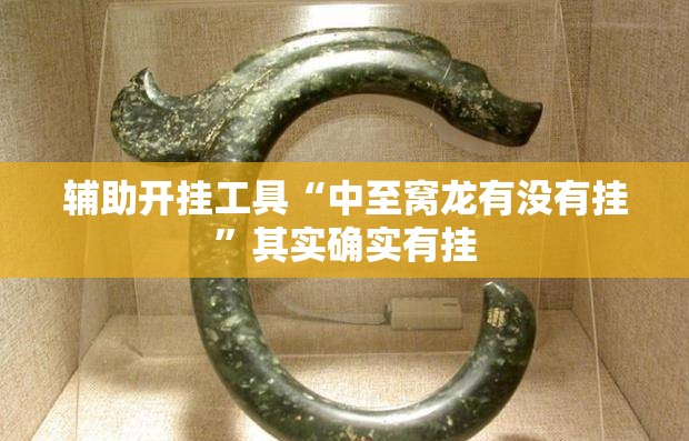 辅助开挂工具“中至窝龙有没有挂”其实确实有挂