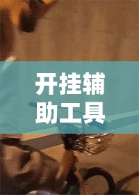 开挂辅助工具“开心联盟可以开挂吗”其实确实有挂