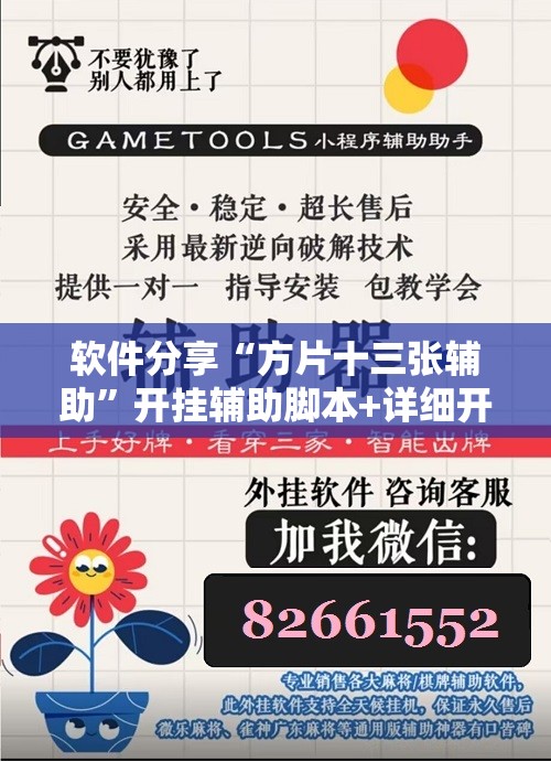 软件分享“方片十三张辅助”开挂辅助脚本+详细开挂安装教程