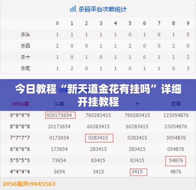 今日教程“新天道金花有挂吗”详细开挂教程