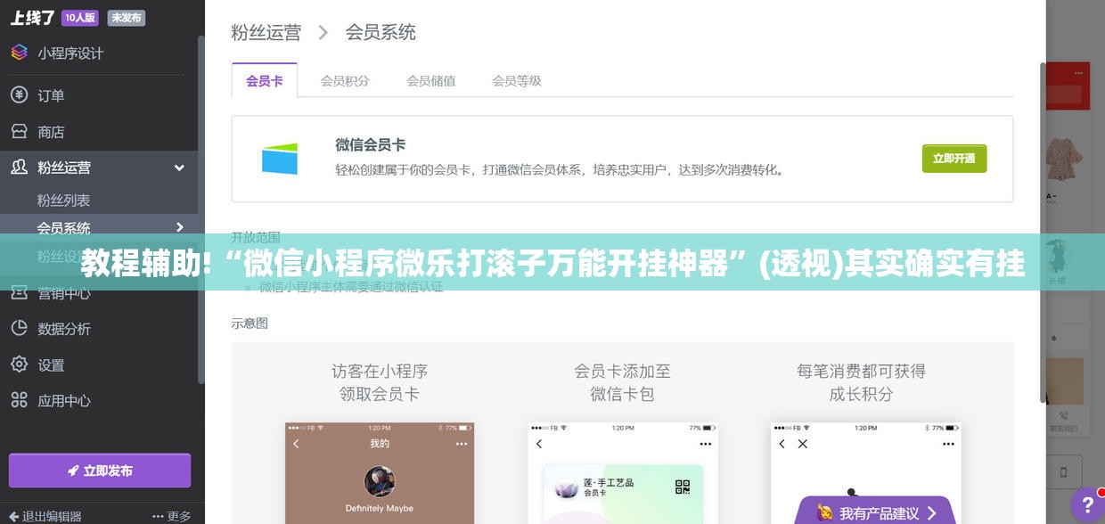 教程辅助!“微信小程序微乐打滚子万能开挂神器”(透视)其实确实有挂