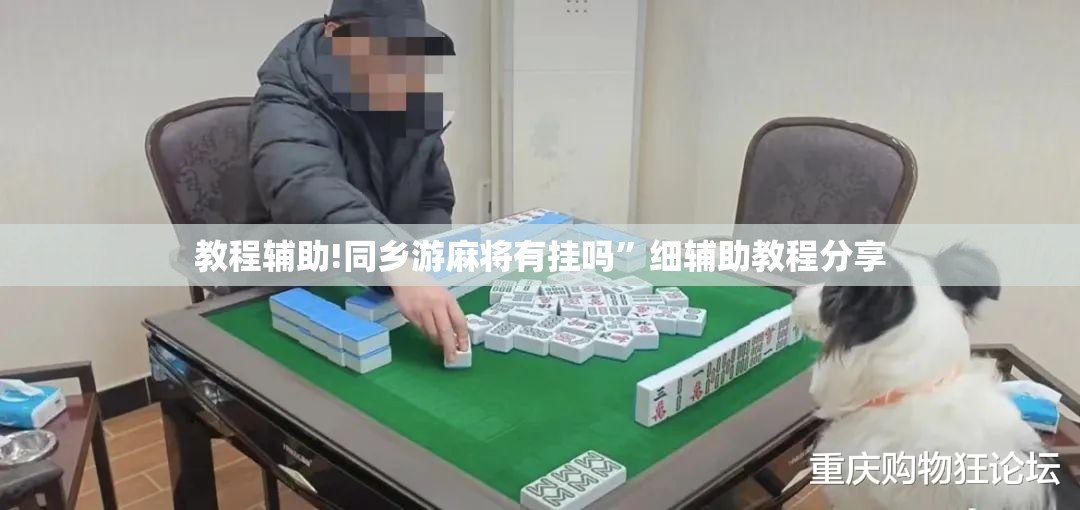 教程辅助!同乡游麻将有挂吗”细辅助教程分享