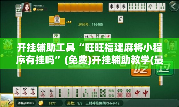 开挂辅助工具“旺旺福建麻将小程序有挂吗	”(免费)开挂辅助教学(最新辅助开挂教程)