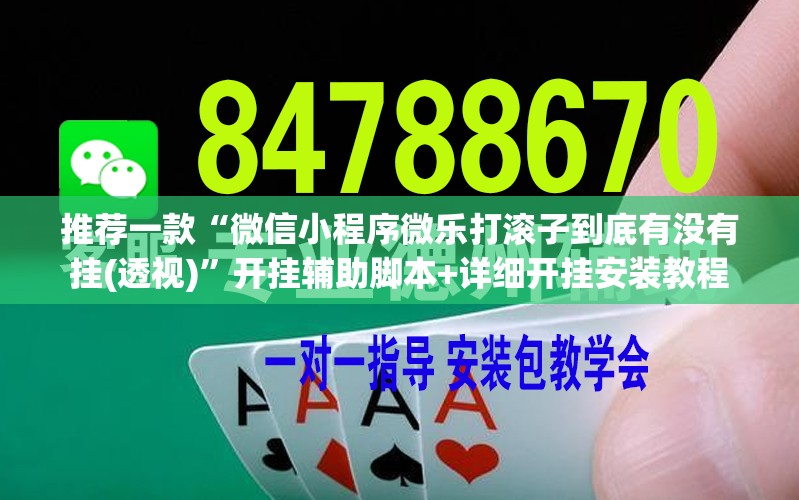 推荐一款“微信小程序微乐打滚子到底有没有挂(透视)”开挂辅助脚本+详细开挂安装教程