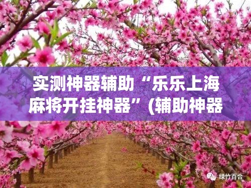 实测神器辅助“乐乐上海麻将开挂神器”(辅助神器)开挂详细教程
