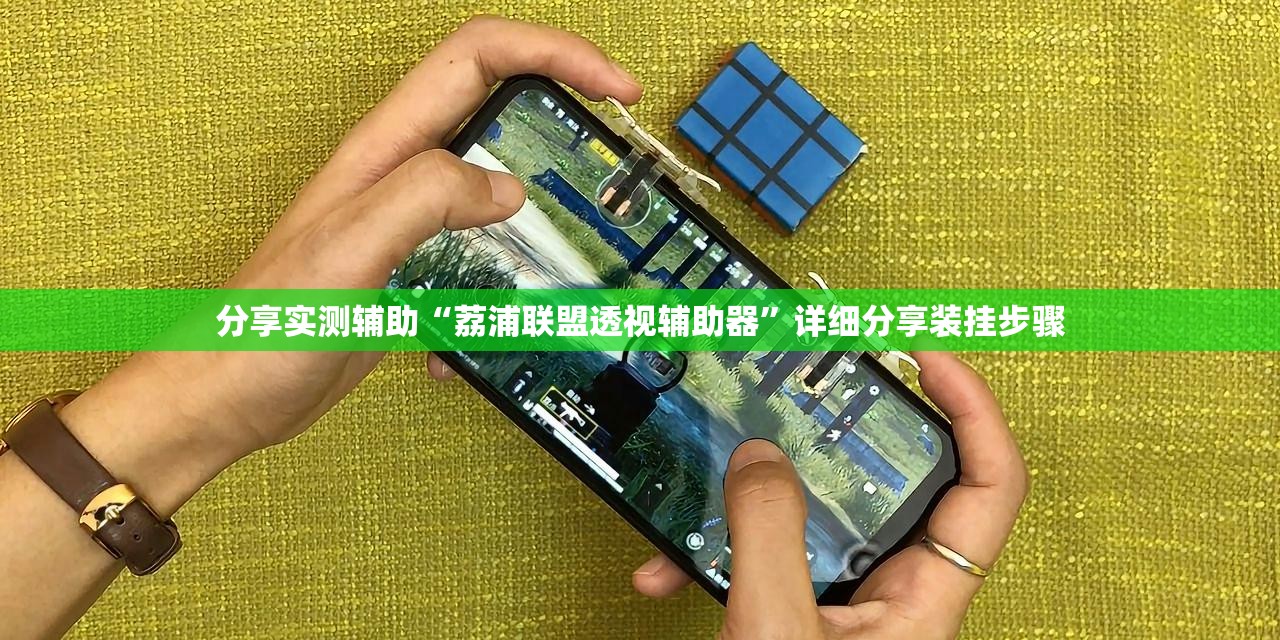 分享实测辅助“荔浦联盟透视辅助器”详细分享装挂步骤