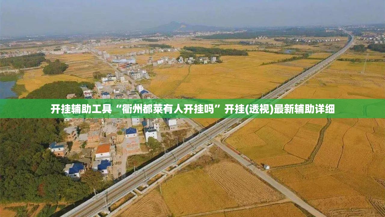 开挂辅助工具“衢州都莱有人开挂吗	”开挂(透视)最新辅助详细