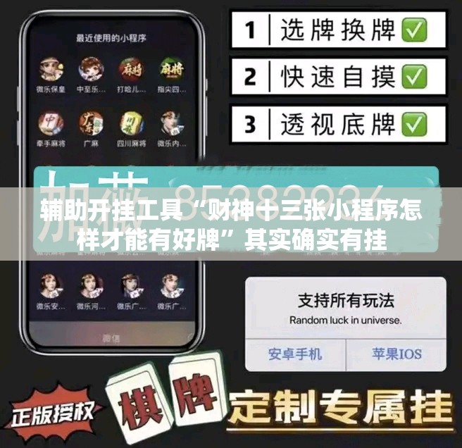 辅助开挂工具“财神十三张小程序怎样才能有好牌”其实确实有挂