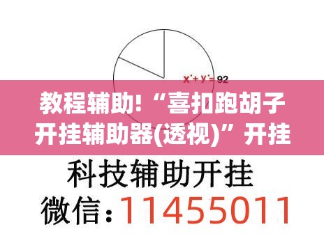 教程辅助!“喜扣跑胡子开挂辅助器(透视)	”开挂辅助脚本+详细开挂安装教程