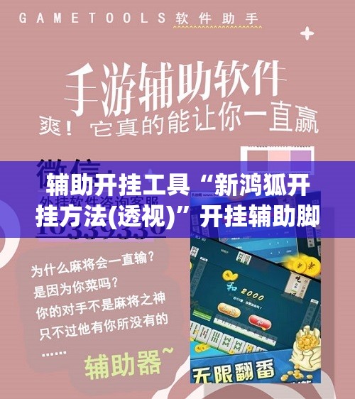 辅助开挂工具“新鸿狐开挂方法(透视)”开挂辅助脚本+详细开挂安装教程