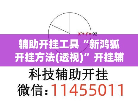 辅助开挂工具“新鸿狐开挂方法(透视)	”开挂辅助脚本+详细开挂安装教程