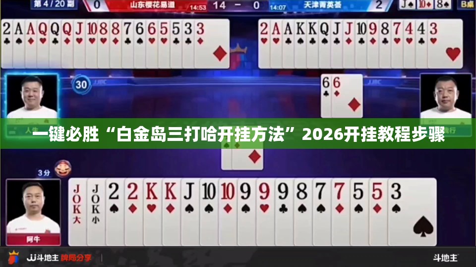 一键必胜“白金岛三打哈开挂方法	”2026开挂教程步骤
