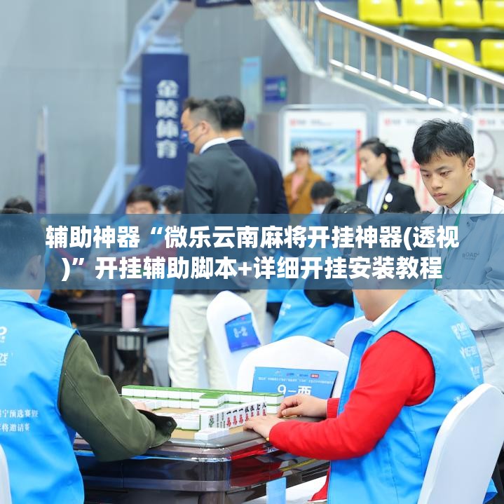 辅助神器“微乐云南麻将开挂神器(透视)”开挂辅助脚本+详细开挂安装教程