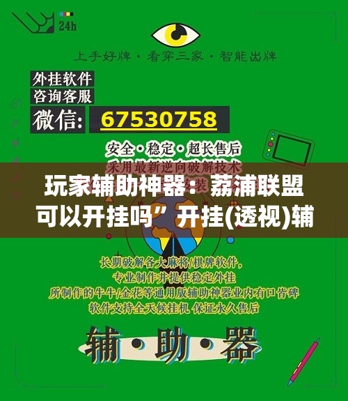 玩家辅助神器：荔浦联盟可以开挂吗”开挂(透视)辅助教程